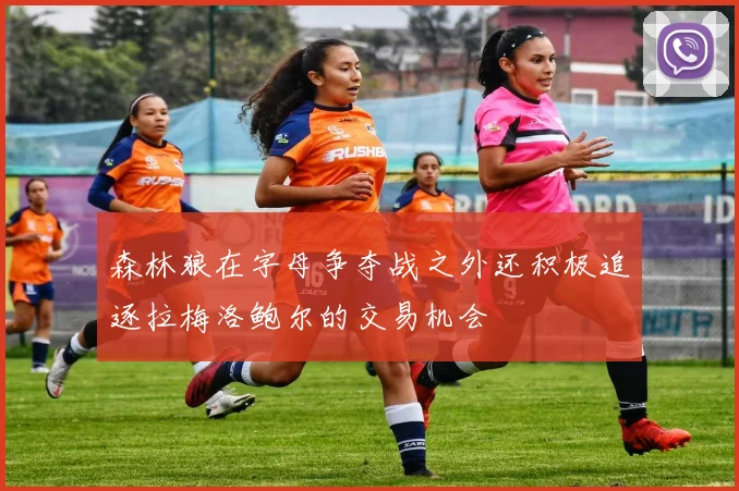 森林狼在字母争夺战之外还积极追逐拉梅洛鲍尔的交易机会