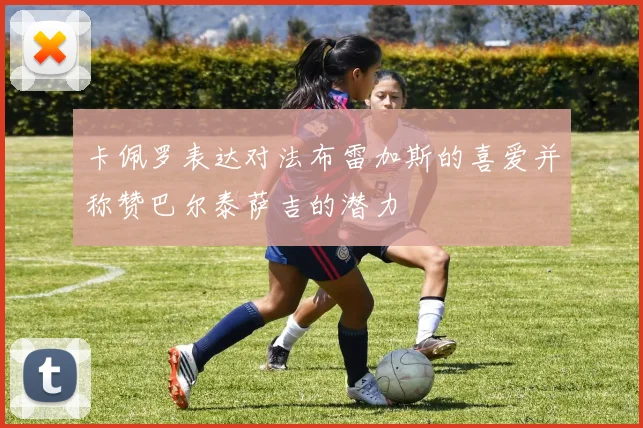 卡佩罗表达对法布雷加斯的喜爱并称赞巴尔泰萨吉的潜力