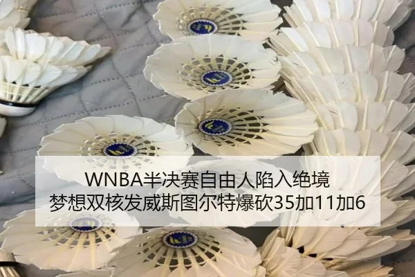 WNBA半决赛自由人陷入绝境 梦想双核发威斯图尔特爆砍35加11加6 - SabaSports